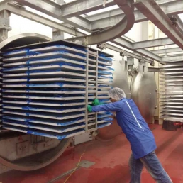 江阴食品冷冻干燥机 质量保证 高效节能